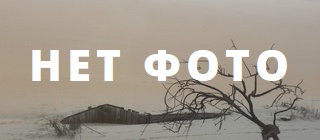 &laquo;Ведомости&raquo;: &laquo;ВКонтакте&raquo; запустит аналог сервиса для обмена короткими видео TikTok