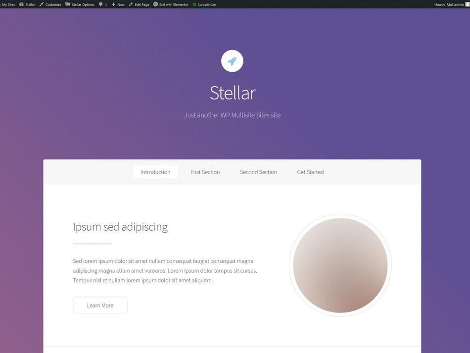 Посадка лендинга Stellar на Wordpress с использованием конструктора Elementor и Redux